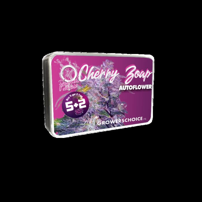 Cherry Zoap Auto Seed > Growers Choice | Autoflowering Cannabis   |  Hybrid