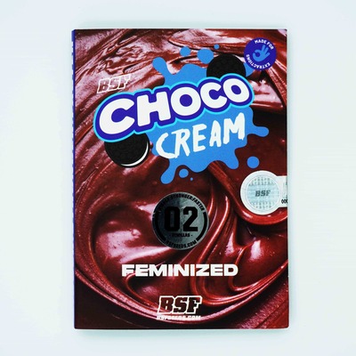 Choco Cream Seed > BSF Seeds | Feminized Cannabis   |  Hybrid