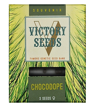 Chocodope > Victory Seeds | Feminisierte Hanfsamen  |  Sativa