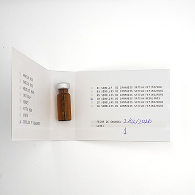 Chocolute F2 Seed > Absolute Cannabis Seeds | Regular Cannabis   |  Sativa