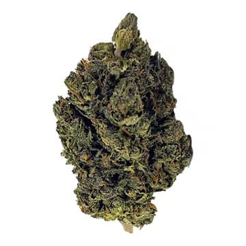 Chunkadelic Auto > Humboldt Seed Company | Autoflowering Cannabis   |  Indica