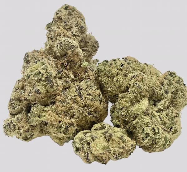 Citrus Hashquake semilla > Bask Triangle Farms | Semillas feminizadas  |  Híbrido