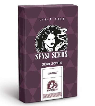 Cobalt Haze > Sensi Seeds | Graines Féminisées  |  Hybride