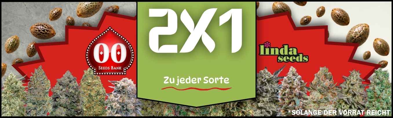 00 Seeds 2x1 00 Seeds 2x1