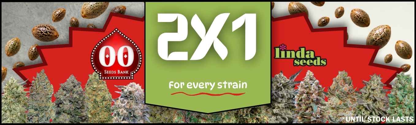 00 Seeds 2x1 00 Seeds 2x1
