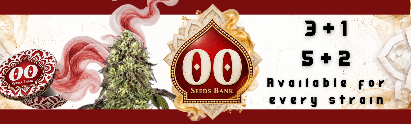 00 seeds promo 00 seeds promo