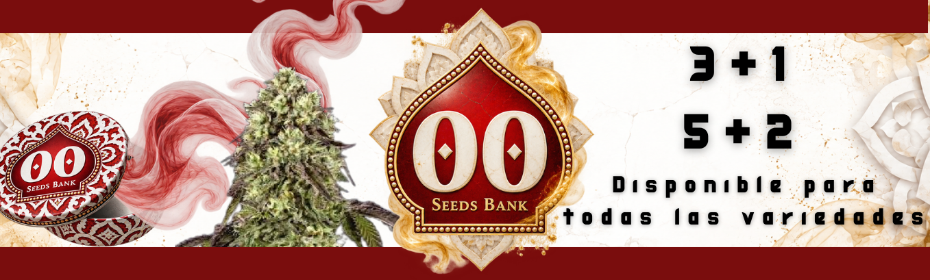 00 seeds promo 00 seeds promo