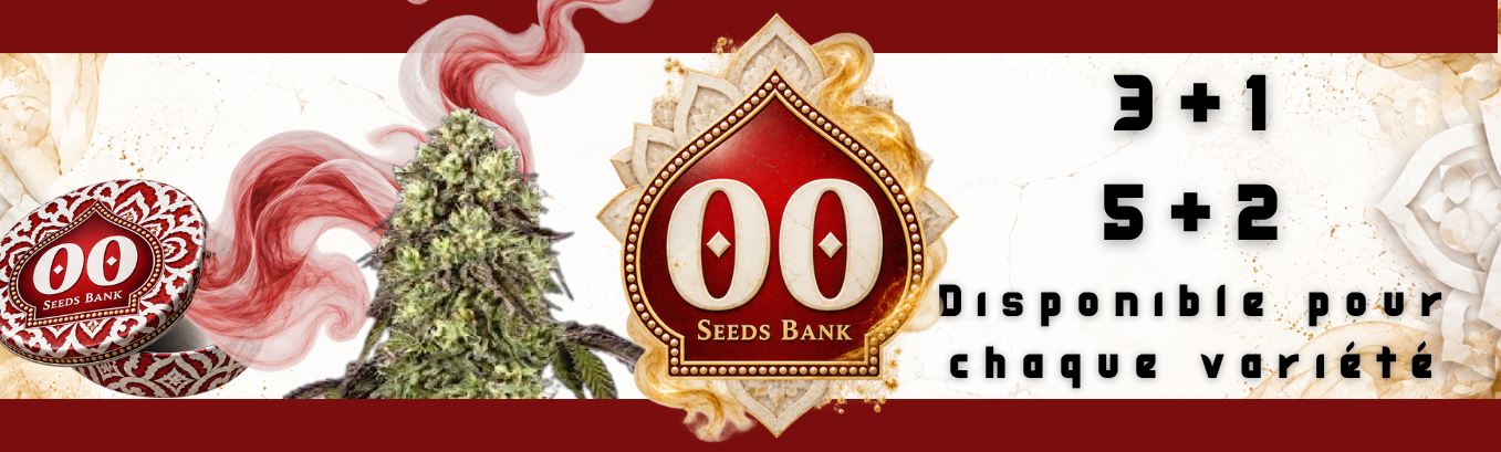 00 seeds promo 00 seeds promo