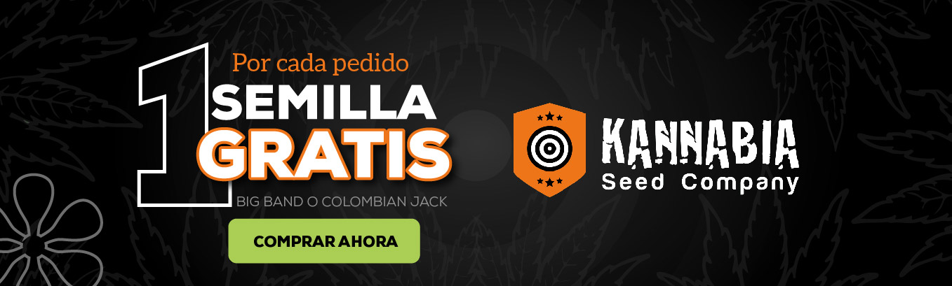 Kannabia Seeds Promo