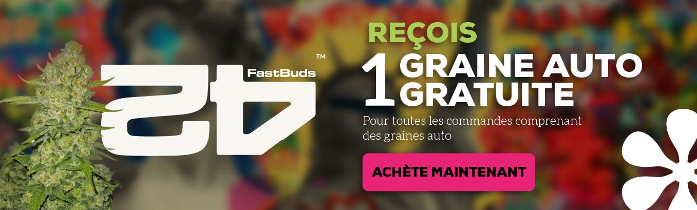 fast-buds-1-auto-free-seed