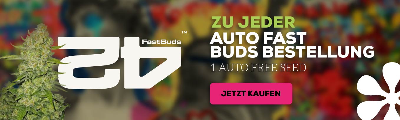 fast-buds-1-auto-free-seed