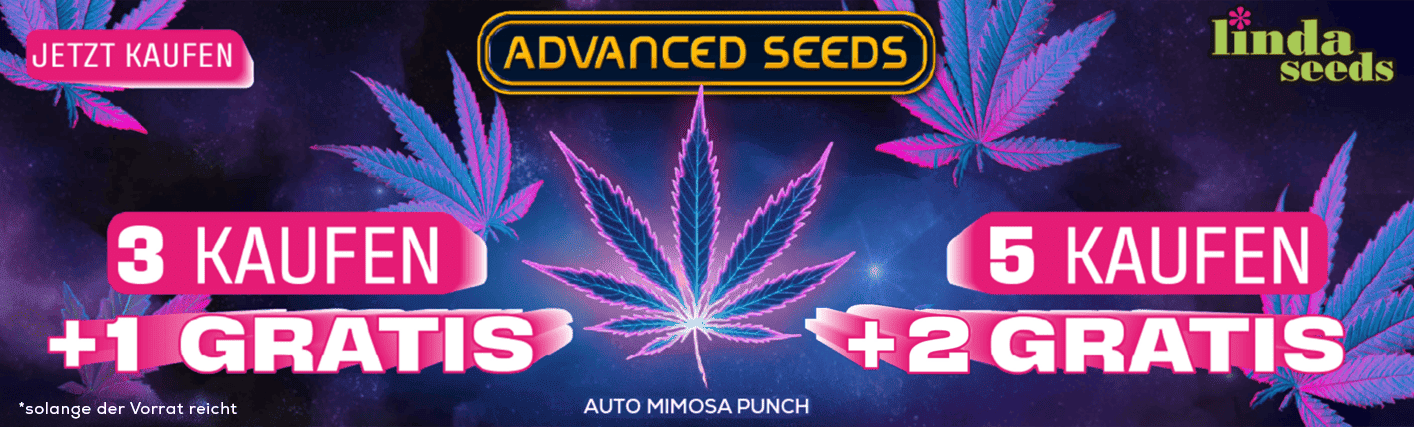 ADVANCED PROMO