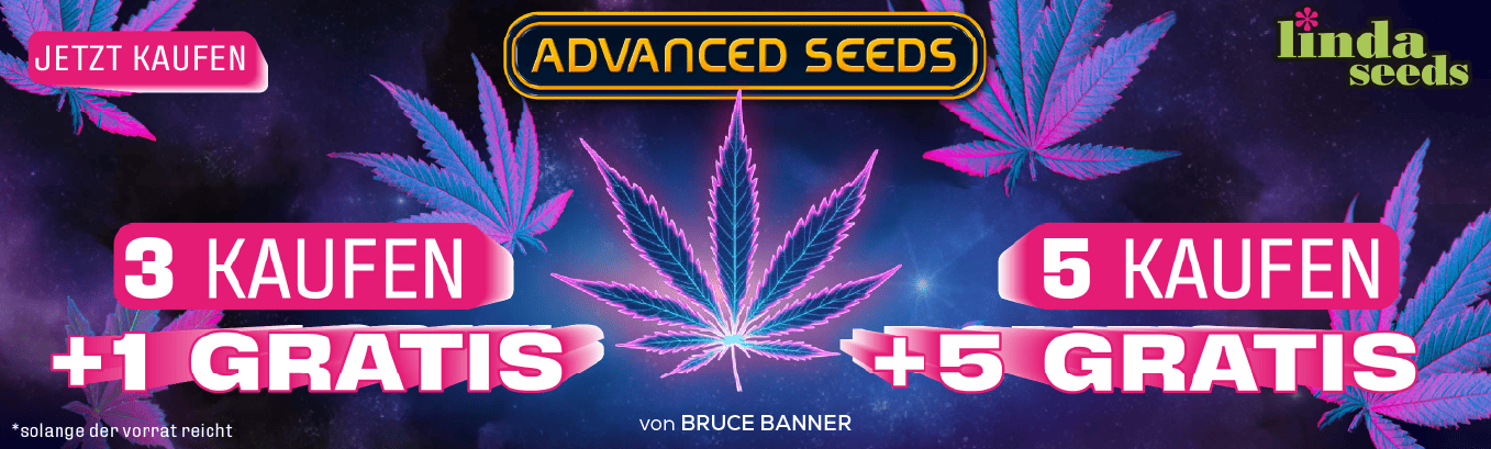 ADVANCED PROMO ADVANCED PROMO