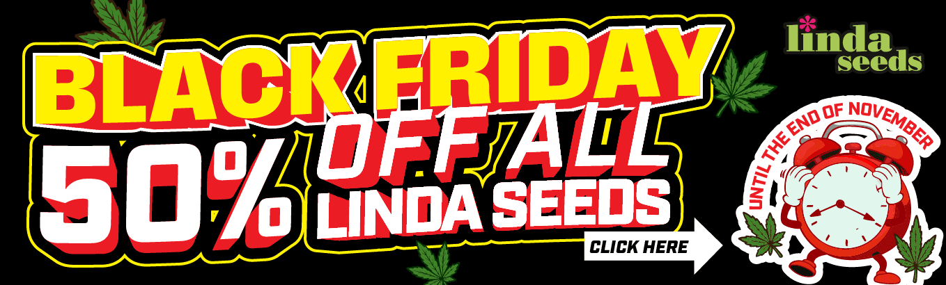 Black Friday 2025 - Linda Seeds