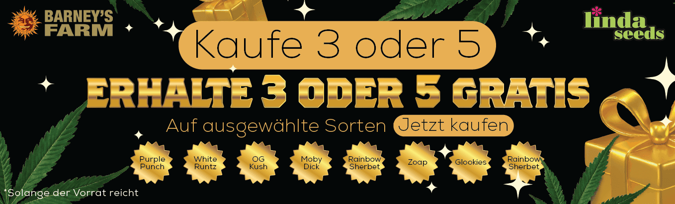 BARNEYS PROMO BARNEYS PROMO