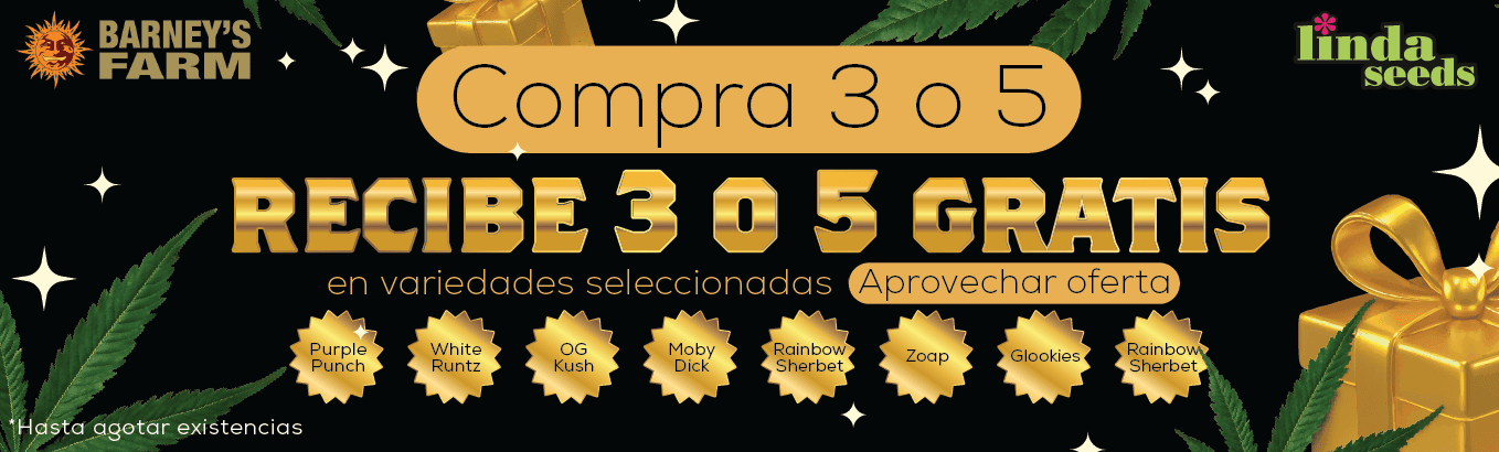 BARNEY'S PROMO BARNEY'S PROMO