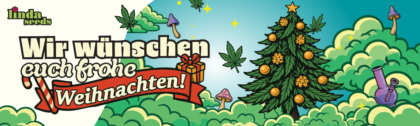 Linda Seeds wünscht dir frohe Weihnachten!