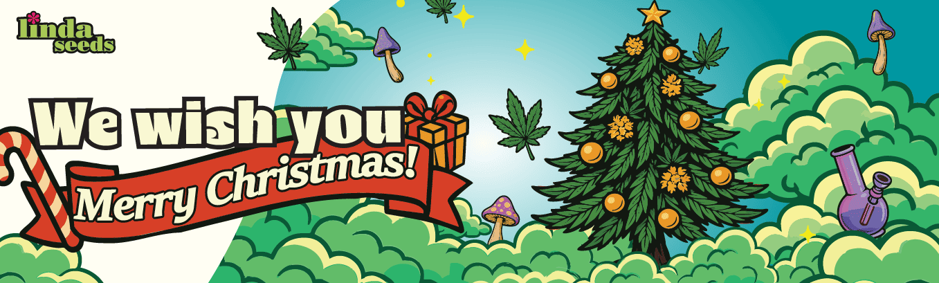 Merry Christmas from Linda Seeds!