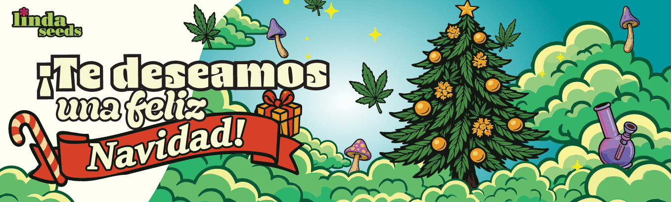 ¡Linda Seeds te desea una feliz Navidad!