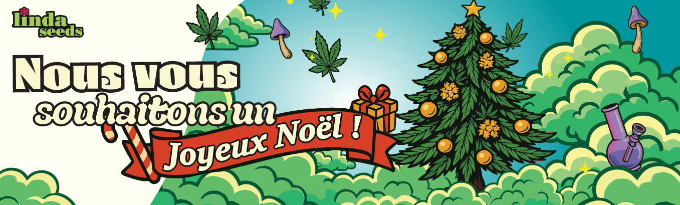 Linda Seeds te souhaite un joyeux Noël !