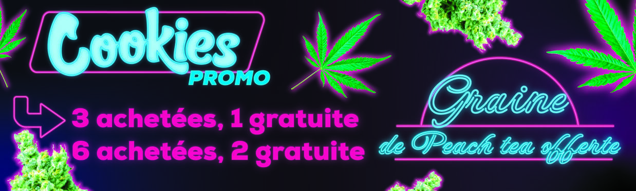 COOKIES PROMO
