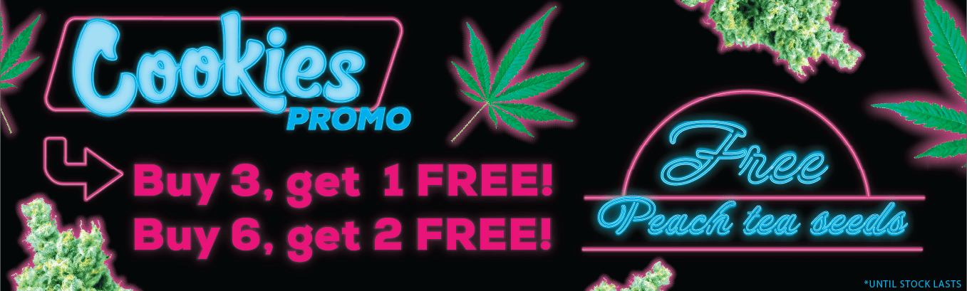 COOKIES PROMO