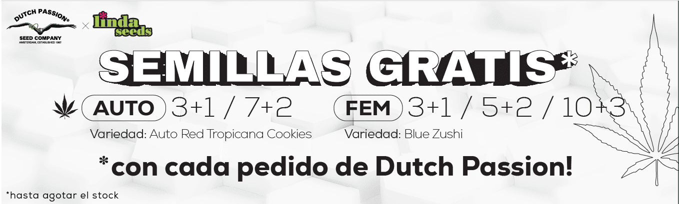 DUTCH PASSION PROMOCIÓN DE SEMILLAS GRATIS DUTCH PASSION PROMOCIÓN DE SEMILLAS GRATIS