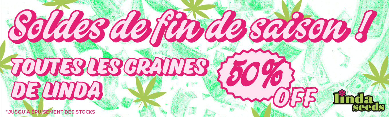 PROMO LINDA - Soldes de fin de saison 2025 - 50 % DE RÉDUCTION