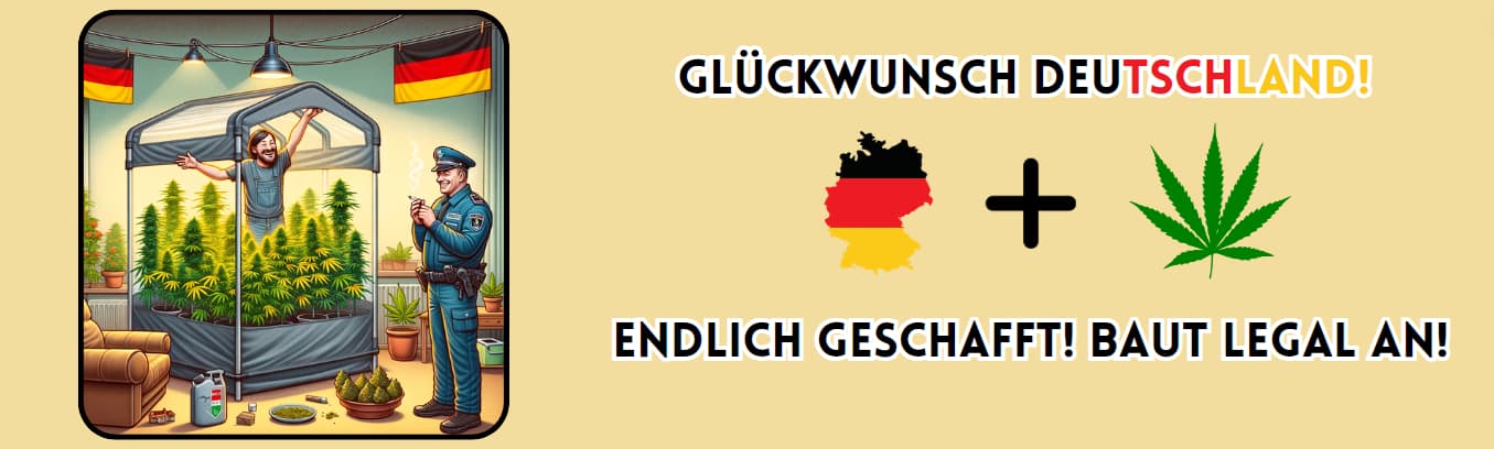 Deutschland Legalisierungsgesetz