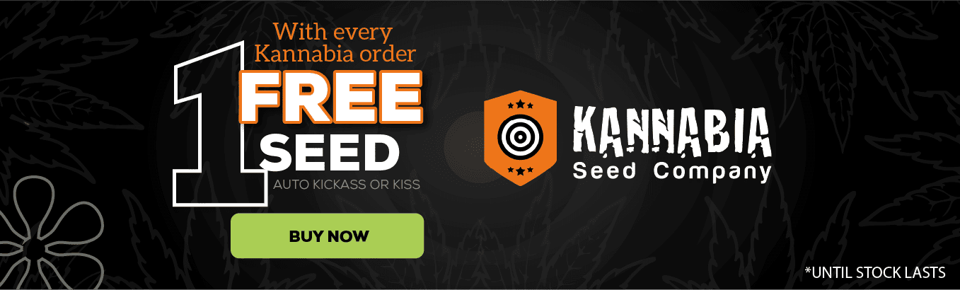 kannabia promo