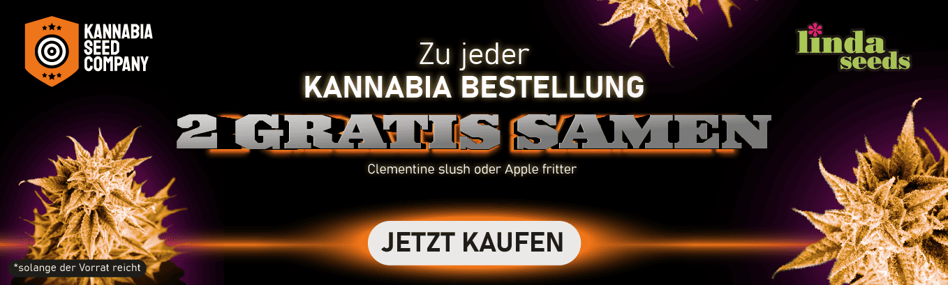 KANNABIA PROMO