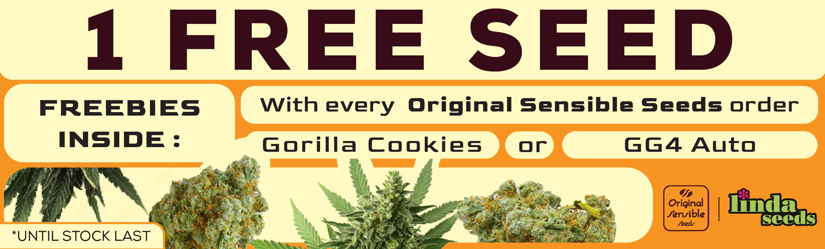 ORIGINAL SENSIBLE SEEDS PROMO