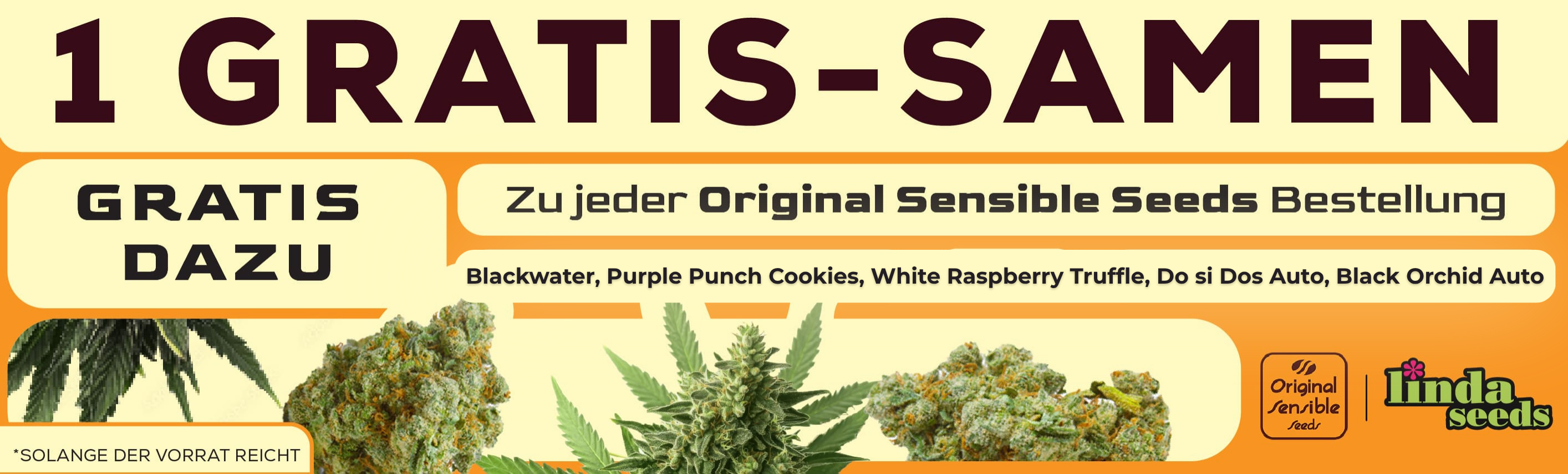 ORIGINAL SENSIBLE SEEDS PROMO ORIGINAL SENSIBLE SEEDS PROMO