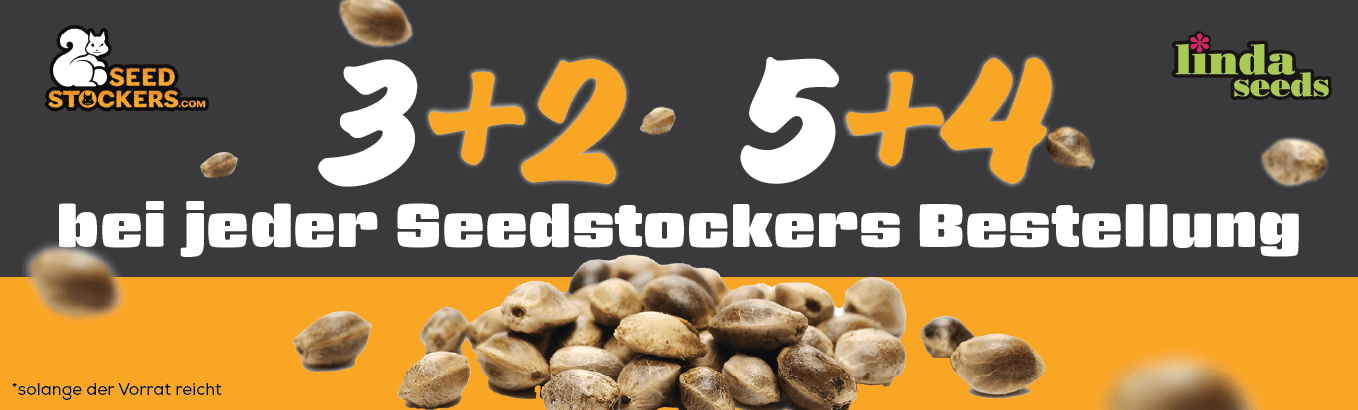 SEED STOCKERS GRATIS SAMEN AKTION SEED STOCKERS GRATIS SAMEN AKTION