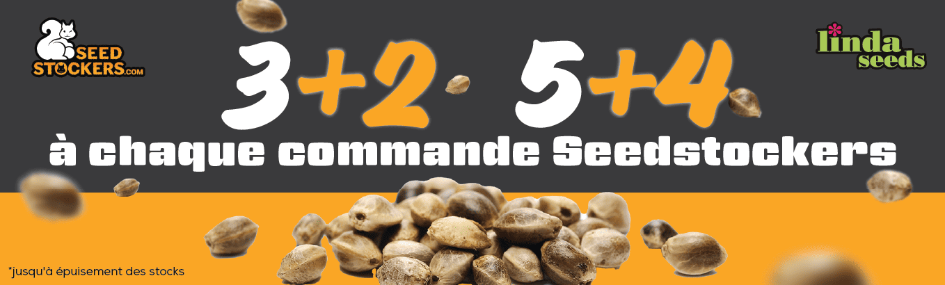 SEED STOCKERS PROMOTION DE GRAINES GRATUITES