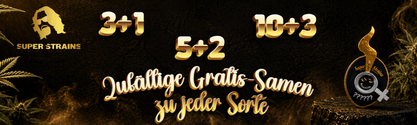 SUPER STRAINS GRATIS SAMEN AKTION SUPER STRAINS GRATIS SAMEN AKTION