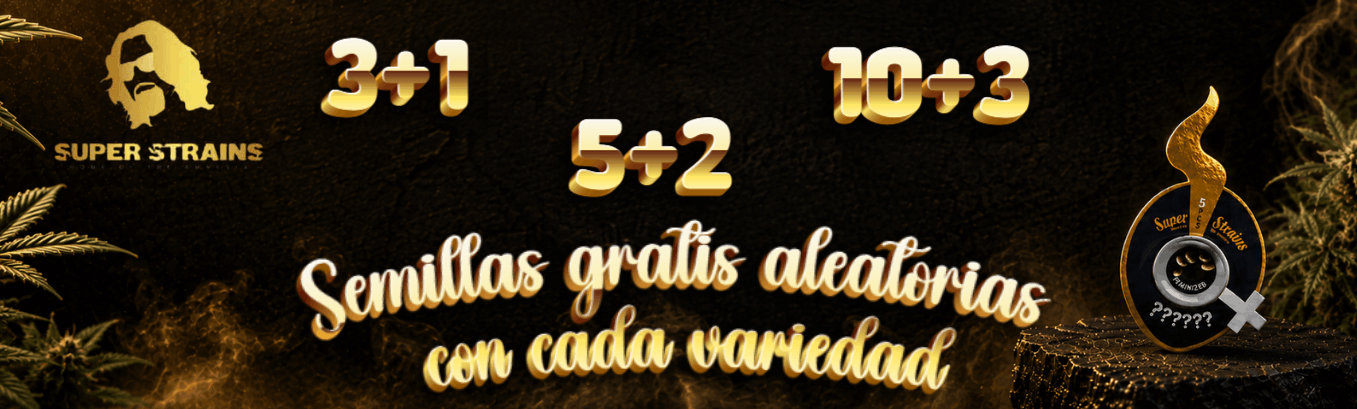 SUPER STRAINS PROMOCIÓN DE SEMILLAS GRATIS SUPER STRAINS PROMOCIÓN DE SEMILLAS GRATIS