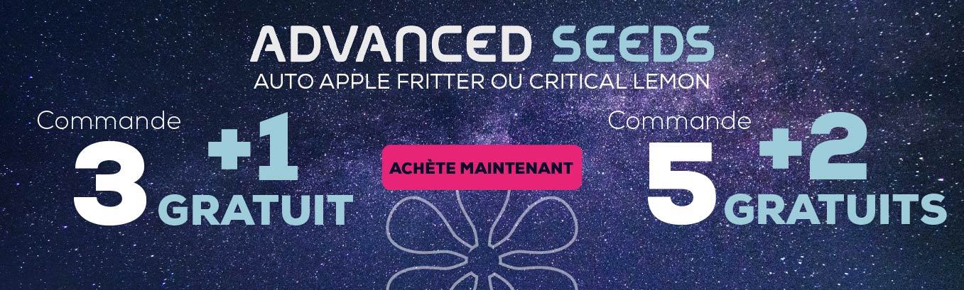 Avanced graines gratis