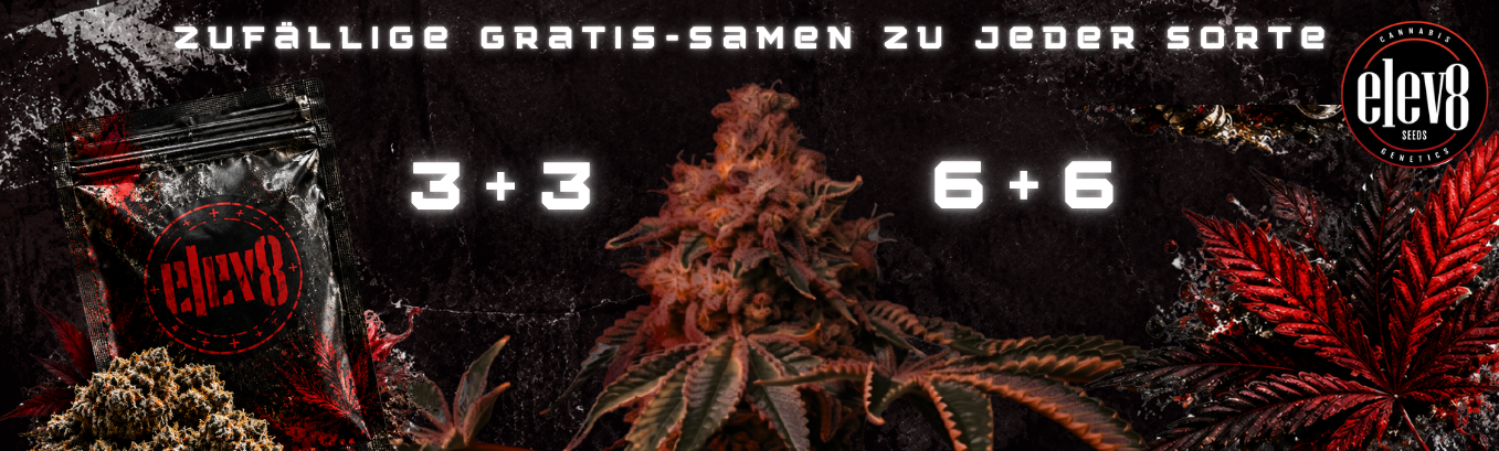 elev8 seeds promo elev8 seeds promo