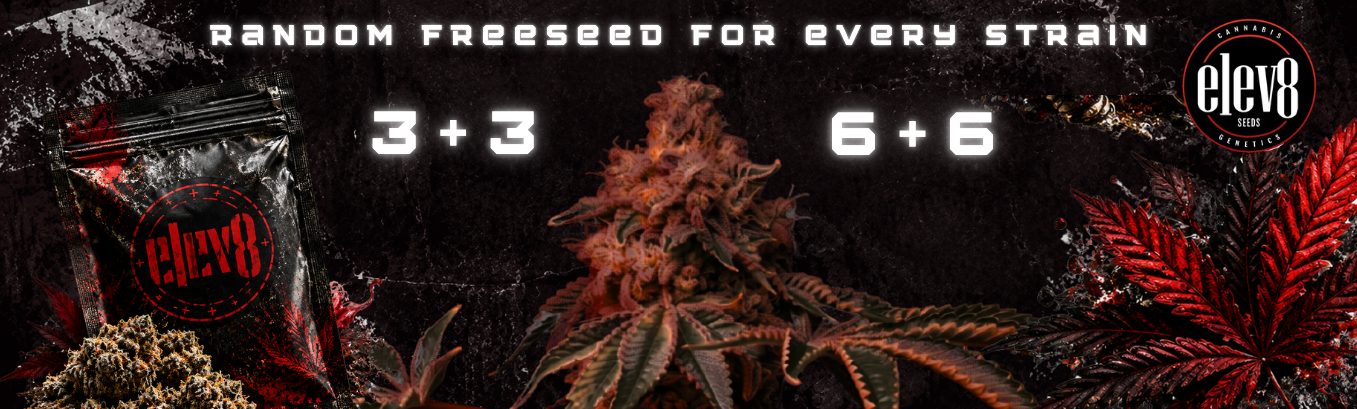 elev8 seeds promo elev8 seeds promo
