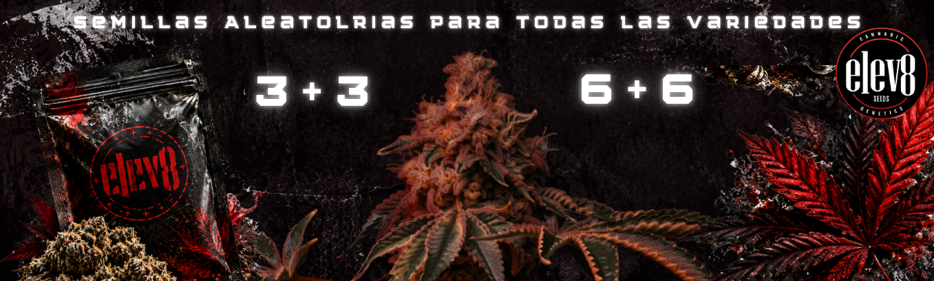 elev8 seeds promo elev8 seeds promo