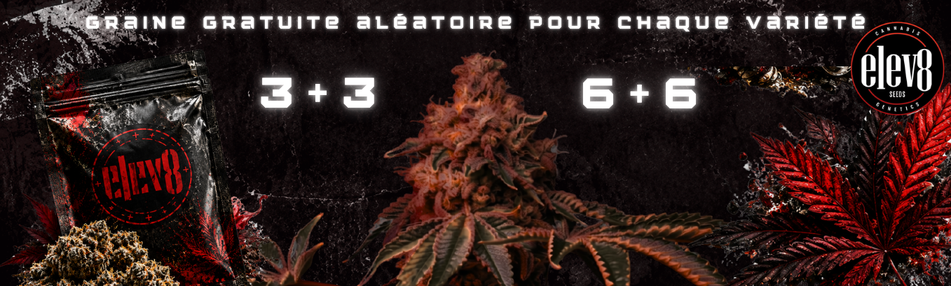 elev8 seeds promo elev8 seeds promo