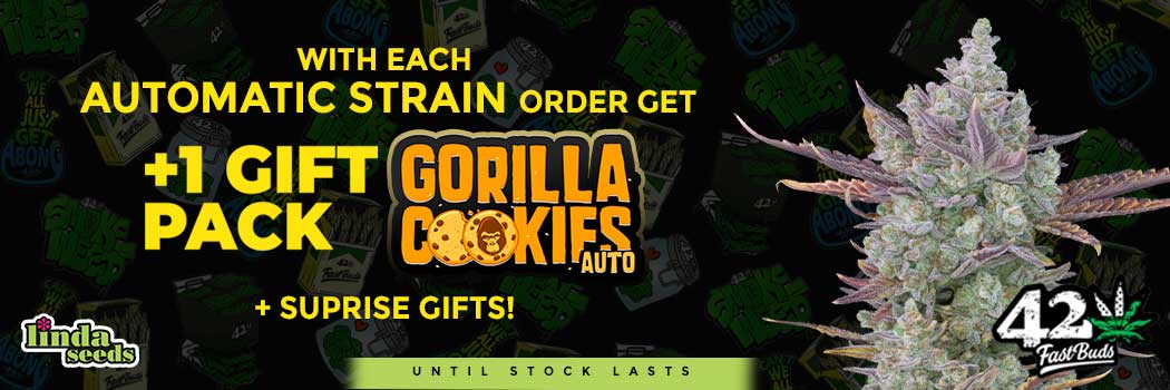 Fast Buds Company promo!