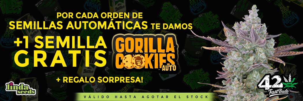 Promoción Fast Buds Company!