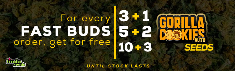Fast Buds Company free seeds promo!