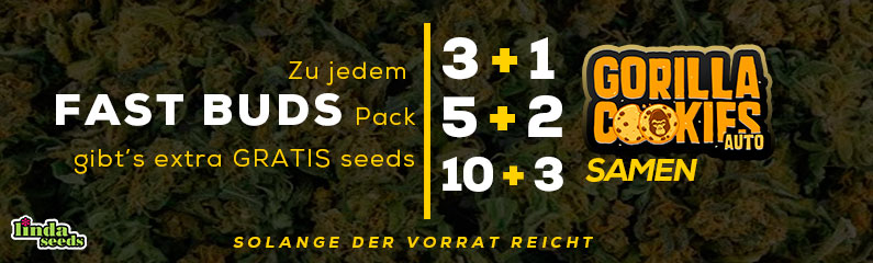 Fast Buds Company gratis seeds aktion!