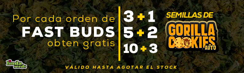 Promoción de semillas gratis en Fast Buds!