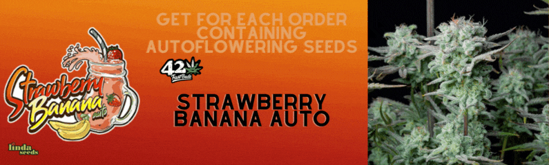 Fast Buds Company promo!