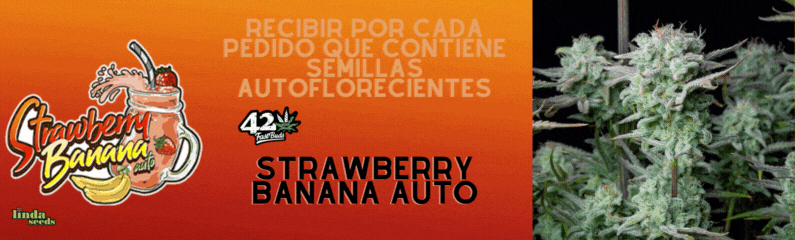 Promoción Fast Buds Company!