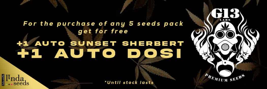 G13 Labs free seeds promo!